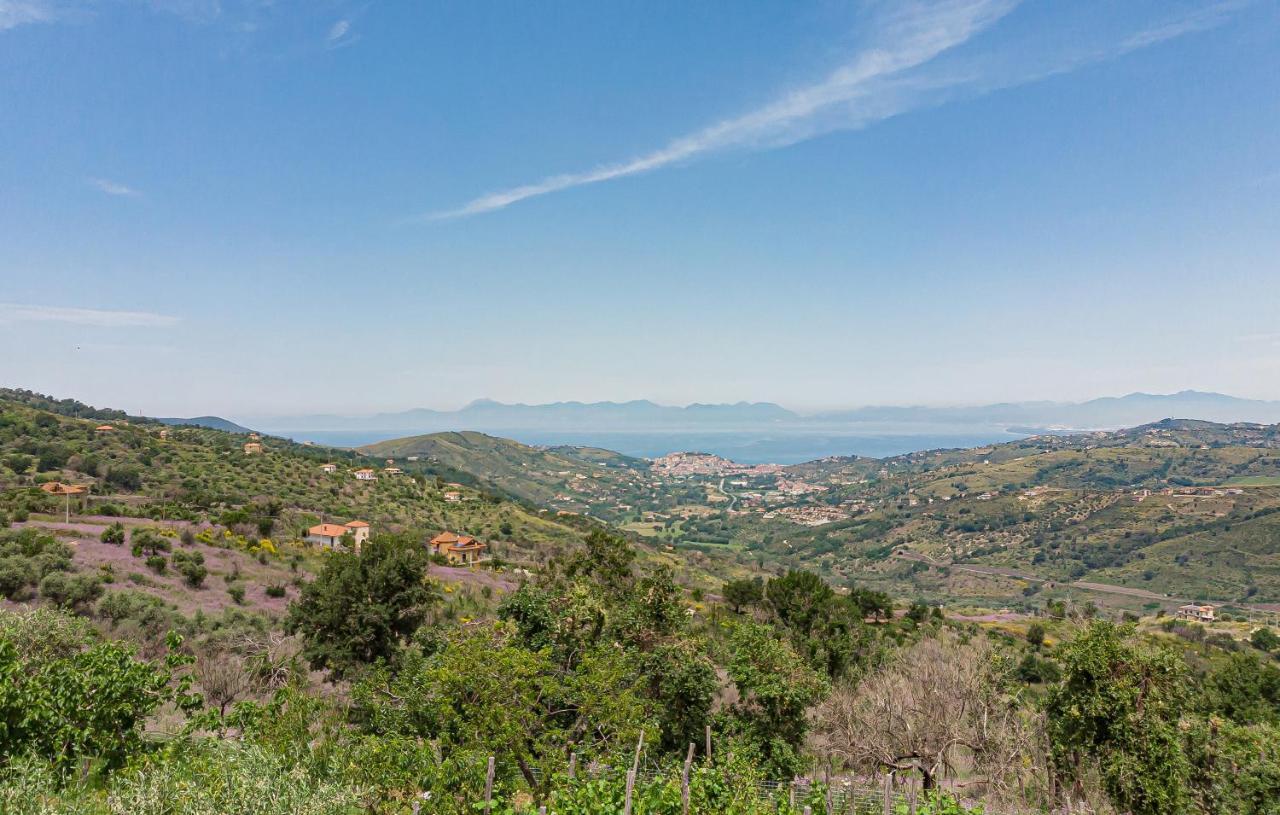 Residence Villa Rosi Laureana Cilento Eksteriør billede